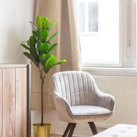 Exclusive Veres Palne By Cavaland New